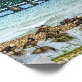 Geese auf Mighty Mac Poster (Ecke)