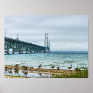 Geese auf Mighty Mac Poster
