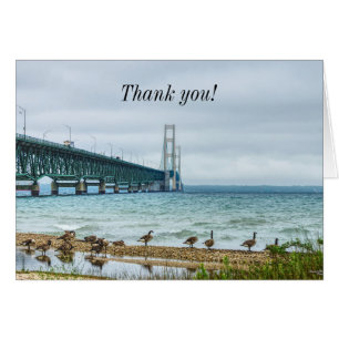 Geese bei Mighty Mac Vielen Dank