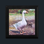 GEESE ERINNERUNGSKISTE<br><div class="desc">Ein Kunstdesign einer domestizierten Gans.</div>