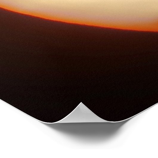 GEESE IN FLIGHT POSTER (Ecke)