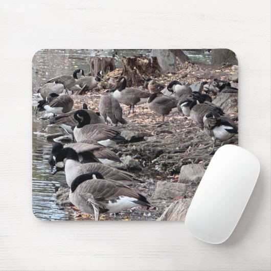 Geese in the Park Mouse Pad Mousepad (Mit Mouse)