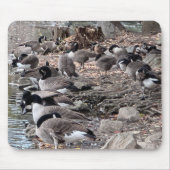Geese in the Park Mouse Pad Mousepad (Vorne)