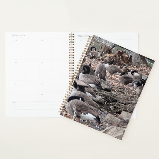 Geese in the Park Planner Planer (Anzeige)