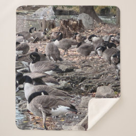 Geese in the Park Sherpa Blanket Sherpadecke