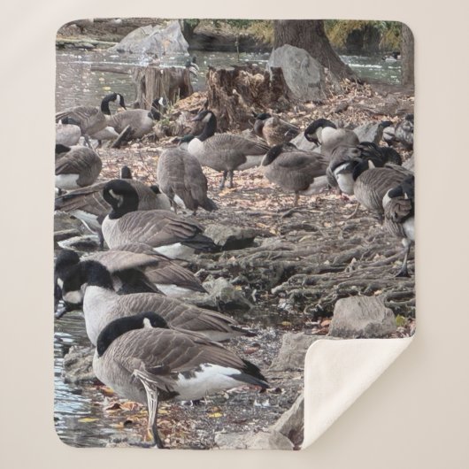 Geese in the Park Sherpa Blanket Sherpadecke (Vorderseite)