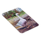 GEESE MAGNET (Rechte Seite)