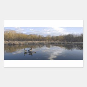 Geese Perch im Park von West Saint Paul Rechteckiger Aufkleber