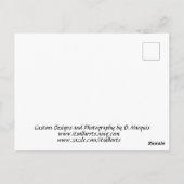 GEESE Postcard Postkarte (Rückseite)