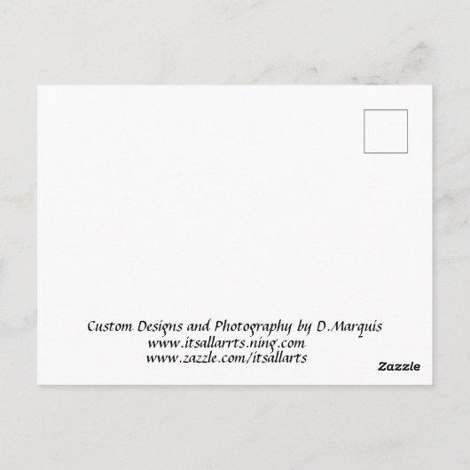 GEESE Postcard Postkarte (Rückseite)