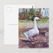GEESE POSTKARTE (Vorne/Hinten)