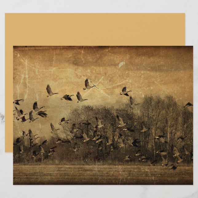 Geese Vintage Antique Sepia Wildlife Textur (Vorne/Hinten)