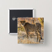 Geetah-Blick Button (Vorne & Hinten)