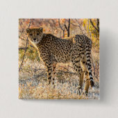 Geetah-Blick Button (Vorderseite)