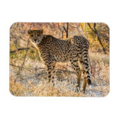 Geetah-Blick Magnet (Horizontal)