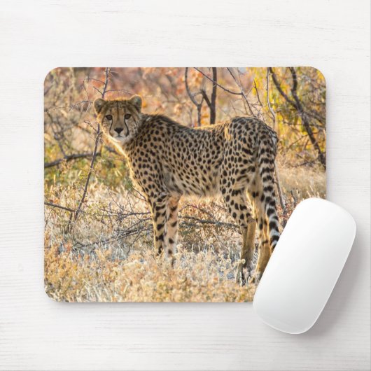Geetah-Blick Mousepad (Mit Mouse)