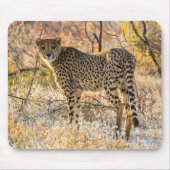 Geetah-Blick Mousepad (Vorne)