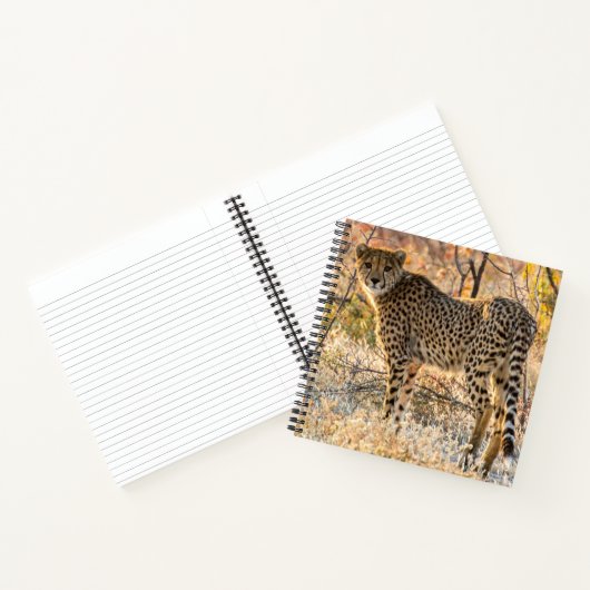 Geetah-Blick Notizblock (Innenseite)