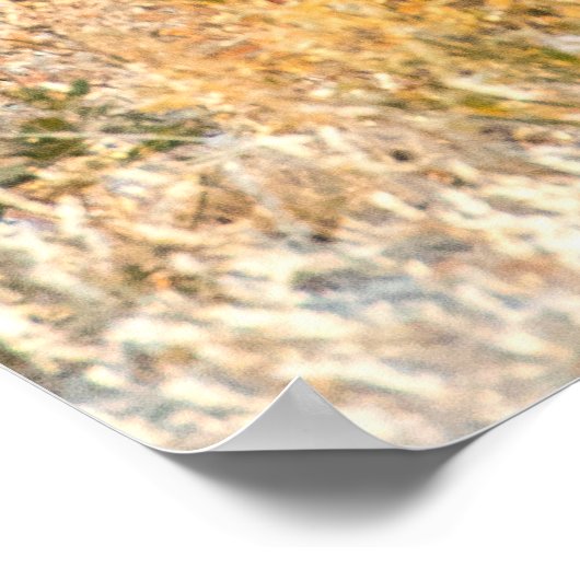 Geetah-Blick Poster (Ecke)