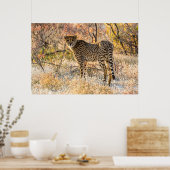 Geetah-Blick Poster (Küche)