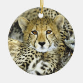 Geetah Cub 2 Keramik Ornament (Vorne)