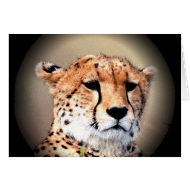 Geetah Portrait von Vollmond: Die Gnade der Natur (Vorderseite (Horizontal))