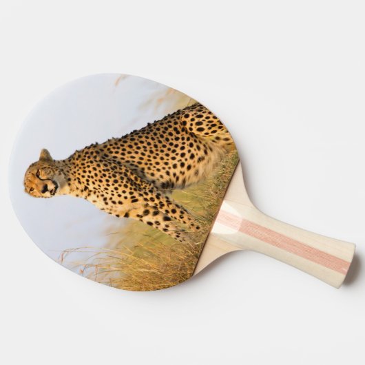 Geetah Wildtier Big Cat Tischtennis Schläger (Seitenansicht)