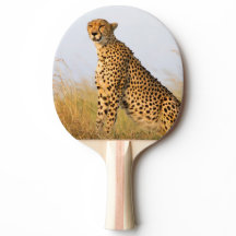 Geetah Wildtier Big Cat