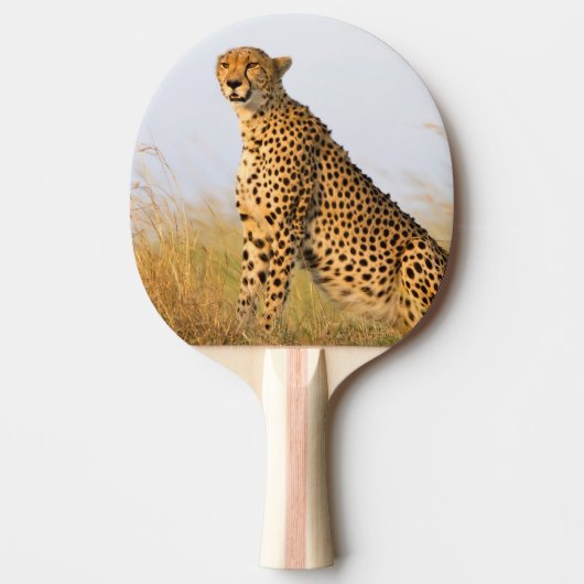 Geetah Wildtier Big Cat Tischtennis Schläger (Vorderseite)