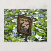 Gefahr, Alligator! Postkarte (Vorderseite)