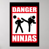 Gefahr Ninjas Poster (Vorne)