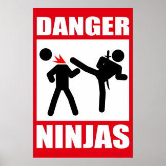 Gefahr Ninjas Poster