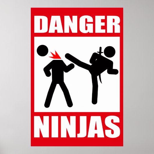 Gefahr Ninjas Poster (Vorne)