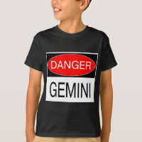 Gefahr - Zwillinge Lustiges Astrologie T-Shirt Hut