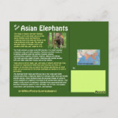 Gefährdet: Alles über den asiatischen Elefanten - Postkarte (Rückseite)