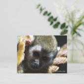 "Gefährdet?...nicht, wenn ich ihm helfen kann!" Postkarte (Stehend Vorderseite)