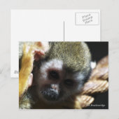 "Gefährdet?...nicht, wenn ich ihm helfen kann!" Postkarte (Vorne/Hinten)