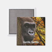 Gefährdete Afrikanische Gorilla Great Ape Art Magn Magnet (Vorderseite/Rückseite)