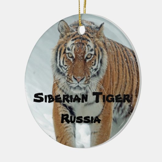 gefährdete Arten, Sibirische Tigerornamente Keramik Ornament (Links)