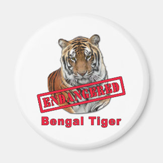 Gefährdete Bengalische Tiger-Produkte Magnet