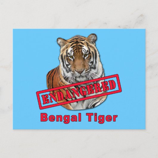 Gefährdete Bengalische Tiger-Produkte Postkarte (Vorderseite)