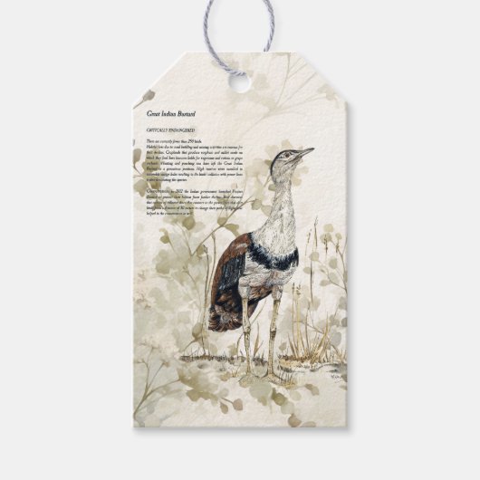 Gefährdete handbemalte große indische Barde Geschenkanhänger (Vorderseite)