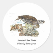 Gefährdete handbemalte Hawksbill-Schildkröte Runder Aufkleber (Vorderseite)