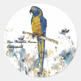 Gefährdete handgemalte Maca Runder Aufkleber