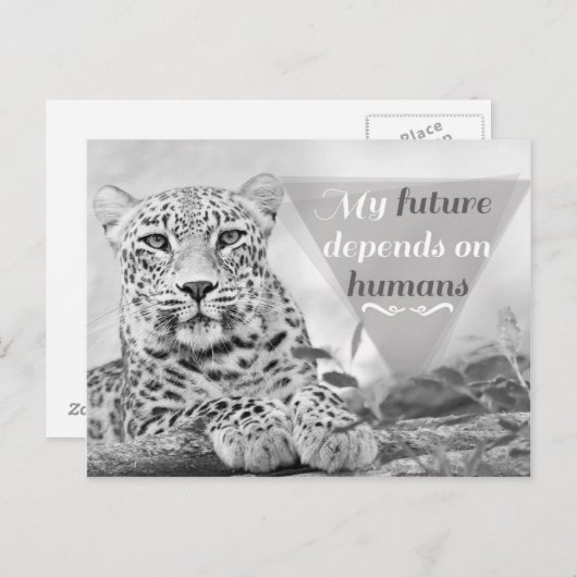 Gefährdete Leoparden schützen wild lebende Tiere P Postkarte (Vorne/Hinten)