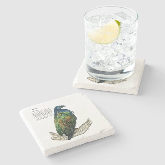 gefährdete Nicobar-Taube Steinuntersetzer (Seitenansicht)