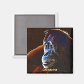 Gefährdete Orangutan Red Apes Wildlife Art Magnet (Vorderseite/Rückseite)