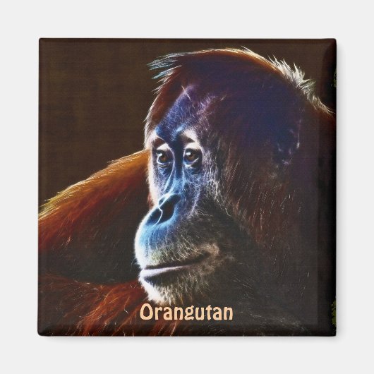 Gefährdete Orangutan Red Apes Wildlife Art Magnet (Vorne)