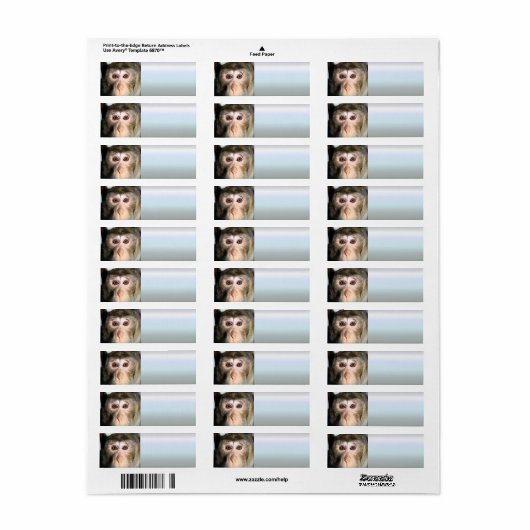 gefährdete Regenwaldreifen (Vorne)