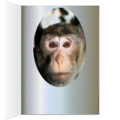 gefährdete Regenwaldreifen (Innen (Rechts))